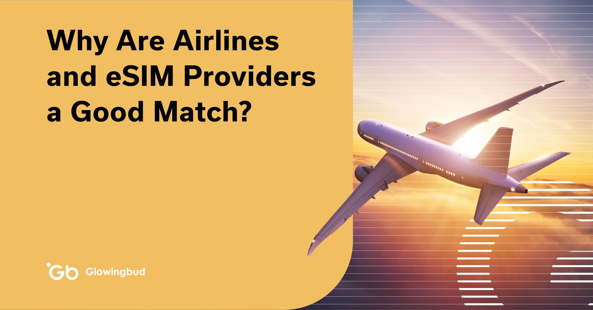 Why Are Airlines and eSIM Providers a Good Match?