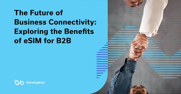 The Future of Business Connectivity: Exploring the Benefits of eSIM for B2B