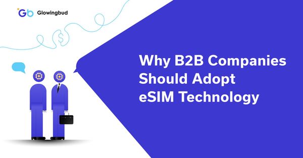 Cost Savings and Flexibility: Why B2B Companies Should Adopt eSIM Technology